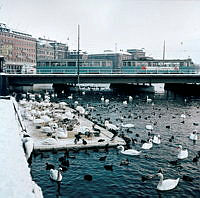 Strömbron från Strömgatan.