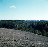 Utsikt från Högdalstoppen söderut. Skogsområde mot Farsta och Fagersta.