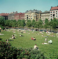 Solbadare vid plaskdammen i Observatorielunden. Försommarvärme över Stockholm.