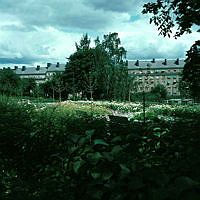 Parkmiljö i sydöstra delen av Stadshagen (nuv. St. Göransparken). Vy åt nordost.