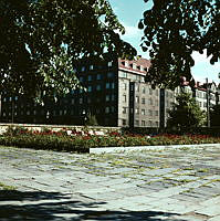 Plantering framför Stadsbiblioteket. Vy åt NO mot kv. Trädgårdsmästaren.