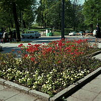 Plantering vid korsningen Sturegatan-Karlavägen. Floras Kulle i fonden.