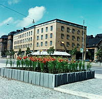 Plantering vid Munkbroleden. Vy mot kv. Icarus och Mälartorget.