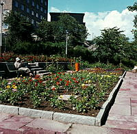 Planteringar i sydöstra Stadshagen. (Nuv. Sankt Göransparken). Orange papperskorg i fonden.