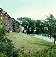 Grässlänt mellan Norr Mälarstrand 82-88 och Rålambshovsleden.