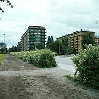 Från Tessinparkens norra del mot kv. Internationalen.