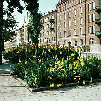 SV hörnet av Karlavägen och Banérgatan.