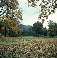 Humlegården; NV delen. Höstbild.