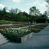 Skansen; planteringar vid Sagaliden. Vy åt söder. Swedenborgs lusthus närmast i fonden.