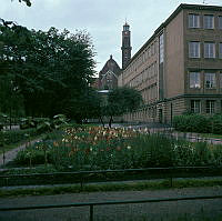 Stockholms Borgarskola. Skolträdgården i förgrunden.