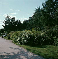 Strandpromenaden vid Norr Mälarstrand.