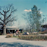 Serveringen vid Borgen på Gärdet.