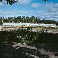 Haga Trädgård från SV.