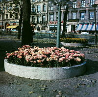 Blomsterplantering i Kungsträdgårdens norra del vid Hamngatan.