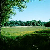 Äng på södra Djurgården öster om Manillavägen. I fonden gården Gröndal.