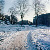 Park öster om Roslagstull (nuv. Roslagsparken). Vy åt sydost. Kv. Staren t.h. i bild.