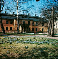 Scilla och nunneört i Spökparken, sedda mot Spökslottets östra fasad.