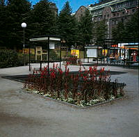 Kungsträdgården. Planteringar med lobelior, små dammar, montrar och en uteservering i parkens norra del. Vy mot Nordiska Kompaniet.