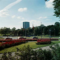 Rosenplanteringar (i nuv. Roslagsparken) vid Roslagstull. Vy västerut mot Bellevueparken. I fonden Wenner-Gren Center.