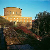 Oxbärsbuskar vid Bäckfåran i Observatorielunden. Vy mot Stadsbibliotekets södra fasad.