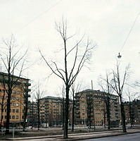 Allén på Valhallavägen vid Tessinparken. Vy åt öster.