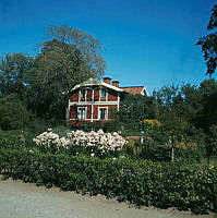 Vaktstugan på Skansen. Västra gaveln. Rosenplanteringar framför.