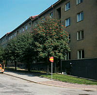 Bondesonsgatan 2 från hörnet av Hjalmar Söderbergs Väg. Rönnar med bär.