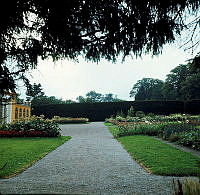 Bergianska trädgården. Odlingar vid Gamla orangeriet.