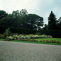 Bergianska trädgården. Odlingar vid Gamla orangeriet.