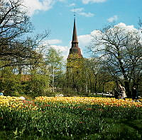 Skansen. Hällestadsstapeln sedd västerifrån. Tulpanplantering i förgrunden.