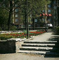 Tulpanplantering i norra hörnet av Borgarskolans trädgård (nuv. Ellen Keys Park). Vy mot kv. Skatan vid Karlavägen.