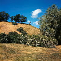 Torka i Observatorielunden. Vy åt nordväst upp mot kullen. I fonden Sigrid Fridmans skulptur 