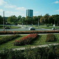 Rosenplanteringar vid Roslagstull (nuv. Roslagsparken). Vy åt väster, i fonden Wenner-Gren Center.