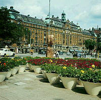 Blomsterurnor med olika blommor på Nybroplan, sedda mot Strandvägen 1-5.