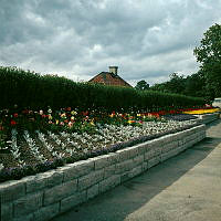 Skansen; blomsterrabatt på Solliden. I bakgrunden taket på Sparbankshuset.