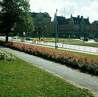 Roslagstull; planteringar i parkområde (nuv. Roslagsparken) öster om rondellen. Vy åt söder.