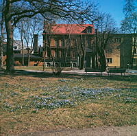 Spökparken. I bakgrunden hus på Holländargatan 32-38.