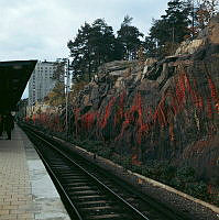 Norra perrongen vid Alviks tunnelbanestation. Vildvin.