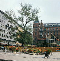 Norrmalmstorg med Palmhuset under byggnad.