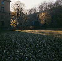 Observatorielunden från plaskdammen mot parkleken.