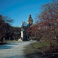 Prydnadsäpple med frukt på Karl XII:s Torg. I fonden Jakobs kyrka.