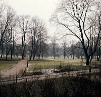 Mellersta Humlegården från Sturegatan.