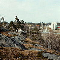 Skogsområde söder om Frescati. Vy åt norr, i bakgrunden t.h. Södra huset.