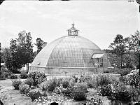 Viktoria-växthuset i Bergianska trädgården.