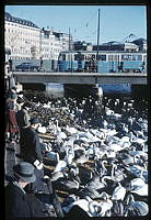 Människor på kajen vid Strömgatan tittar på svanar vid Norrström. I bakgrunden Strömbron.