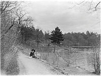 Strandmotiv från Brunnsviken vid Bergianska trädgården.