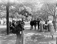 Folkliv i Kungsträdgården. En ballongförsäljerska står i förgrunden i allén. T.v. Kungsträdgårdsgatan.