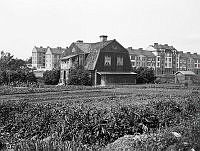 Gården Ekedal vid Lindhagensgatan. Området motsvarar nu Ekedalsgatan vid Lindhagensgatan 80 i kv. Gångaren, Stadshagen. I förgrunden odlingar, i fonden ses AB Holmias hus i kv. Ängsknarren.