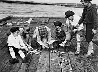 Några pojkar går igenom fiskefångsten på en brygga vid Slussen.