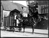 Högbergsgatan 51. Hästen Pärlan vid porten.